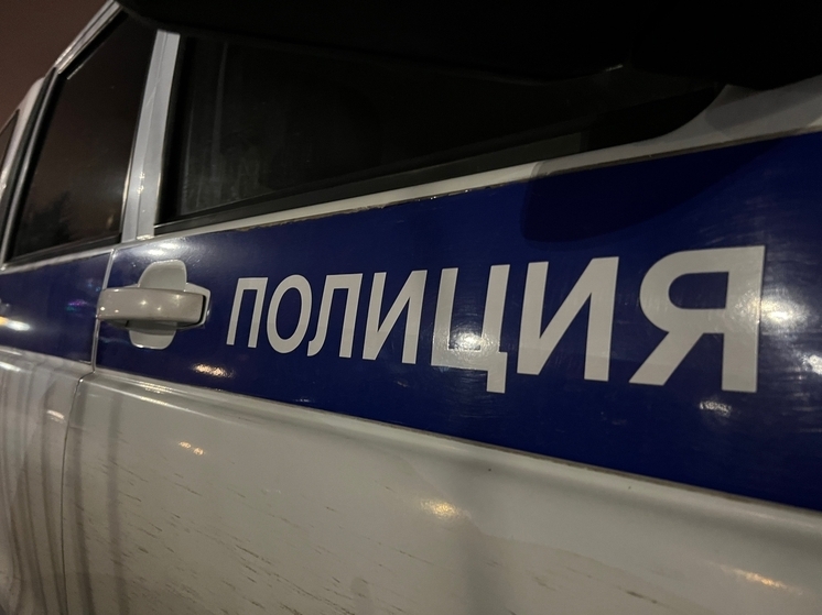 Из-за зимней резины жительница Твери обратилась в полицию