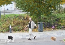 Поимка богородского маньяка — преступника, заманивавшего в свой подмосковный дом девушек, которым предлагал работу няни, — заставила задуматься о безопасности домашнего персонала