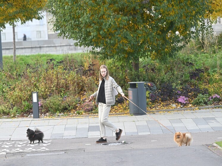 Поимка богородского маньяка — преступника, заманивавшего в свой подмосковный дом девушек, которым предлагал работу няни, — заставила задуматься о безопасности домашнего персонала
