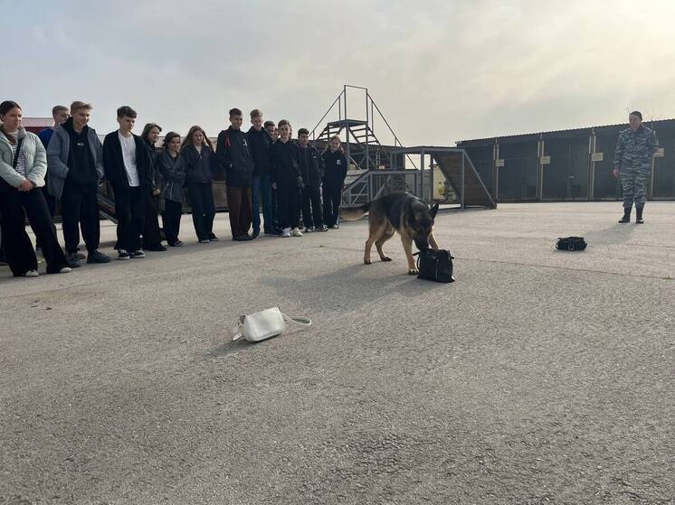 Севастопольские полицейские показали школьникам работу кинологов и конной полиции
