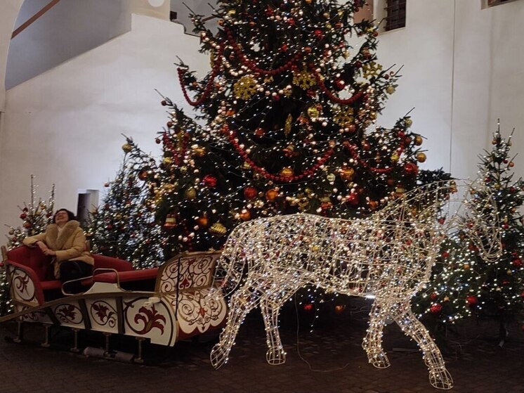 В Пуровском районе стартовал конкурс на самый новогодний двор