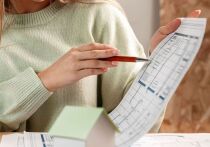 С начала года в Москве через интернет-порталы было подано больше 23 тыс