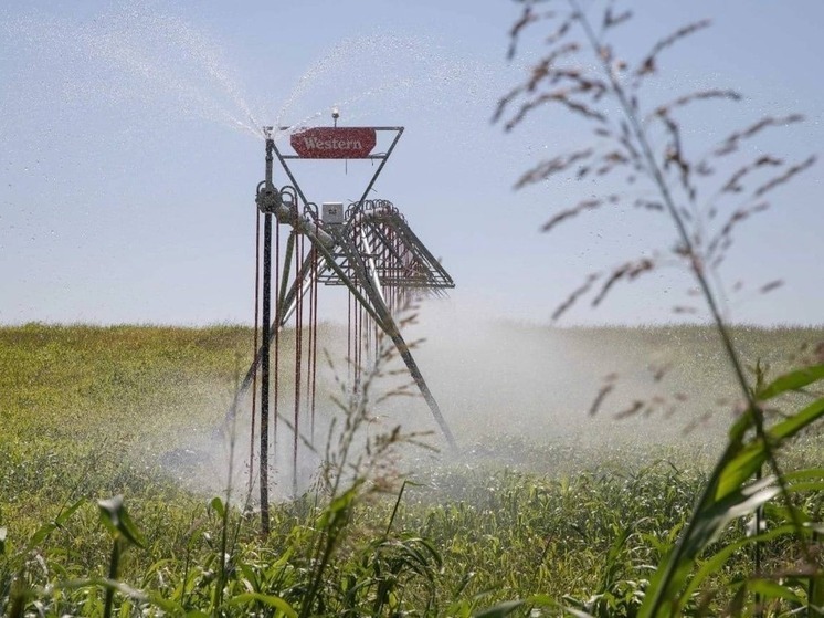 В Калмыкии продолжается развитие мелиорации и производство кормов