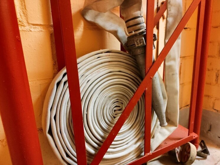 Лужские пожарные провели занятие по безопасности для детей в районной библиотеке