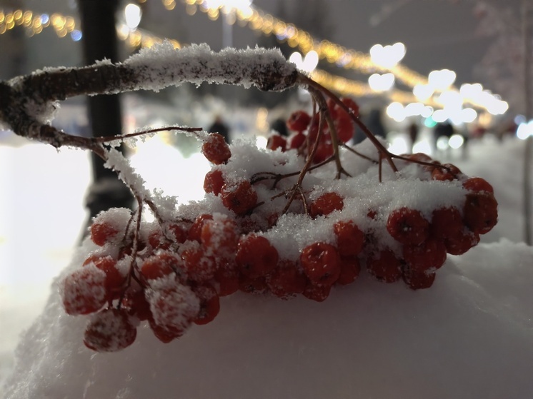 От +3 до -15: жителей Омской области ждут температурные качели в начале недели