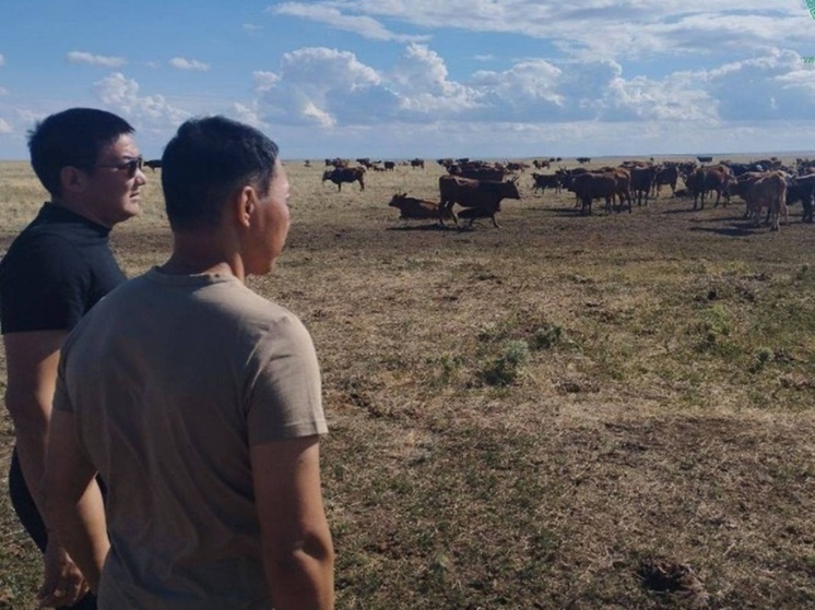 В Калмыкии проверяют расходование средств субсидирования