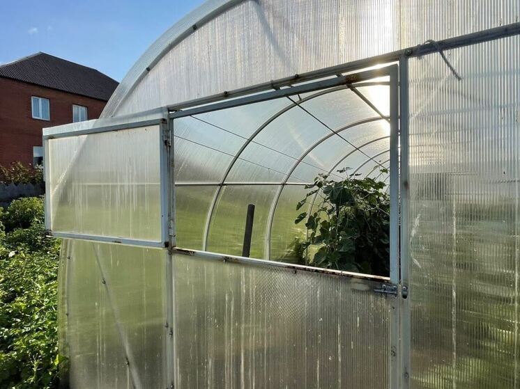 Мошенники обманули омича на 130 тысяч рублей при покупке дачи