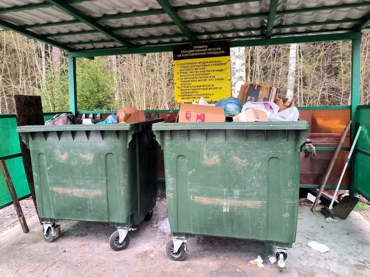 В Тюмени неизвестные выбросили хомяков на помойку