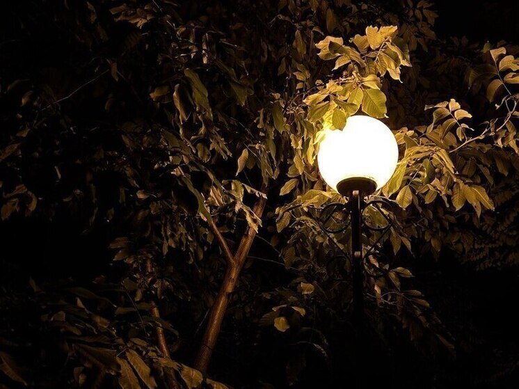 Гладков прокомментировал наличие света в парках Белгорода, но не на дорогах