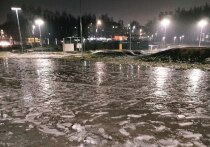 Прогноз синоптиков, обещающий в Кирове до 7 декабря температуру выше нуля, безусловно, вызывает у жителей региона смесь удивления и надежды