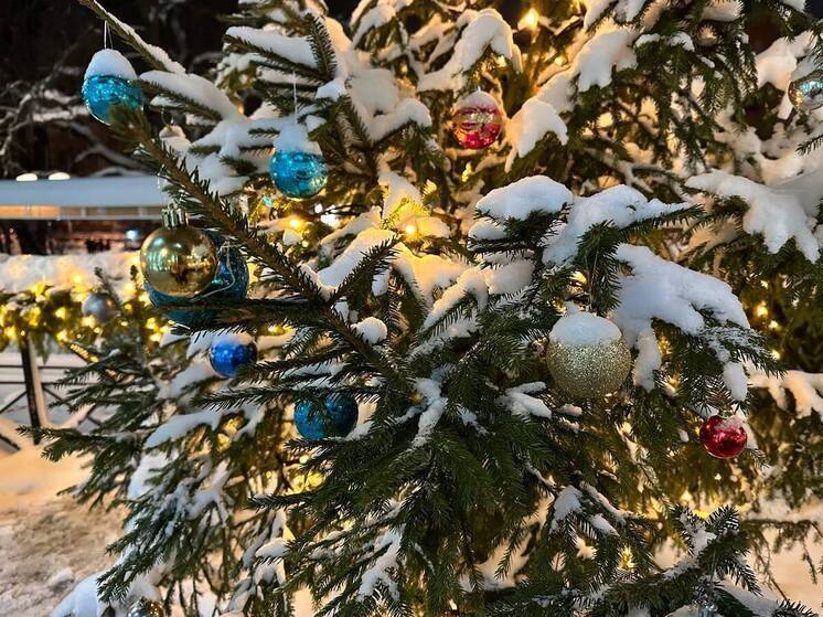 Эксперт по ЖКХ Бондарь: новогодняя елка во дворе может привести к штрафу