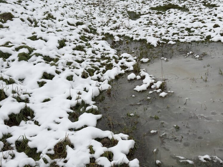 Ленинградцев 24 ноября ожидает мокрый снег, гололед и до -6 градусов