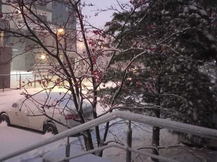 Новосибирскую область ждут снегопады в последнюю неделю ноября