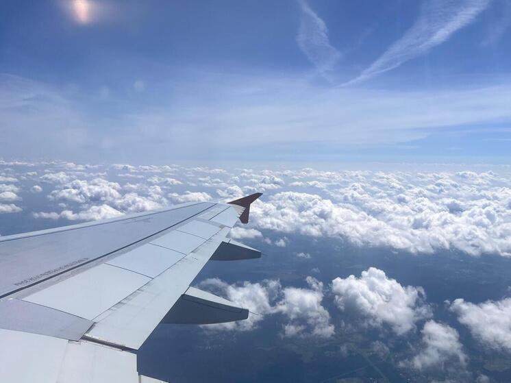 У россиянки украли багаж во время перелета рейсом авиакомпании Turkish Airlines