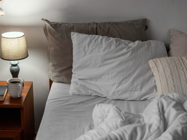 Постельные клопы осенью идут в атаку: как тамбовчанам уберечь жилье