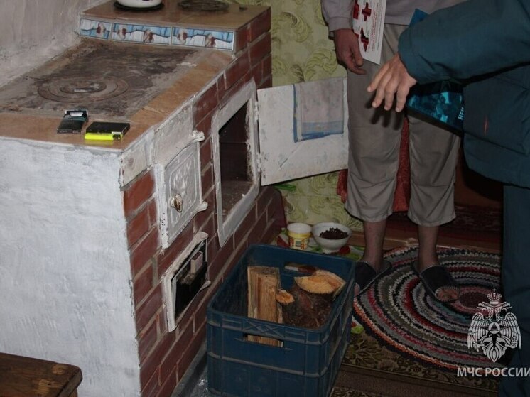 Извещатель спасает жизнь: алтайские пожарные призывают жителей к бдительности