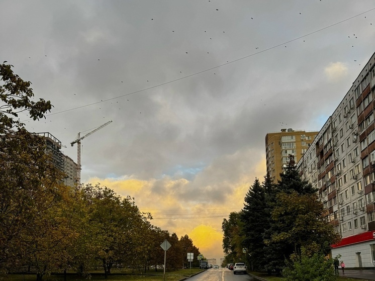 На последней рабочей неделя ноября жителей Ростовской области ожидает резкое похолодание