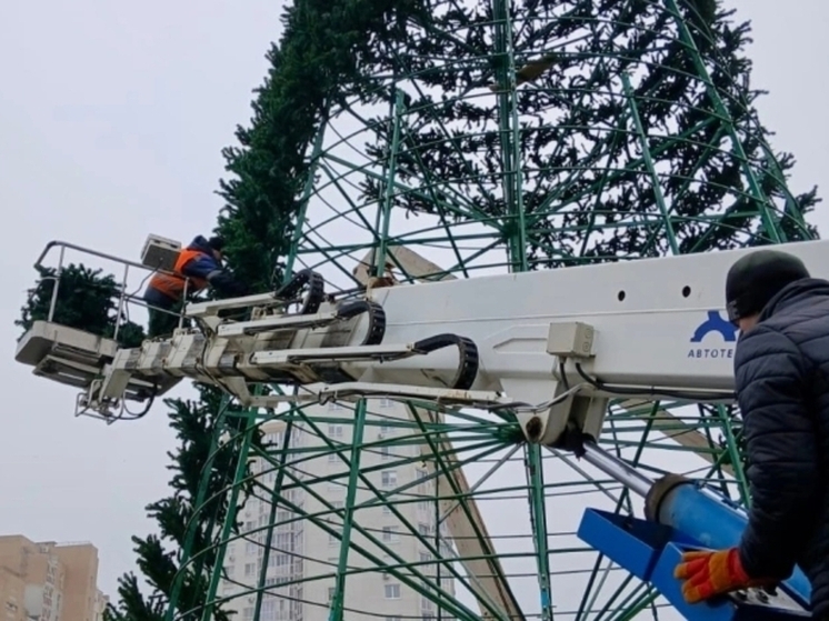 В Липецке готовят 24-метровую новогоднюю ель в микрорайоне Европейский
