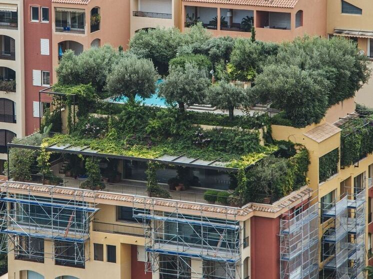 Запросы на жизнь у природы в Москве выросли в полтора раза за год