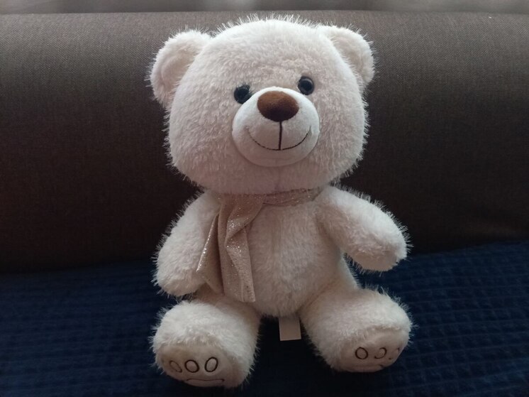 Госавтоинспекция напомнила, что дети до 7 лет обязательно должны ехать в ДУУ