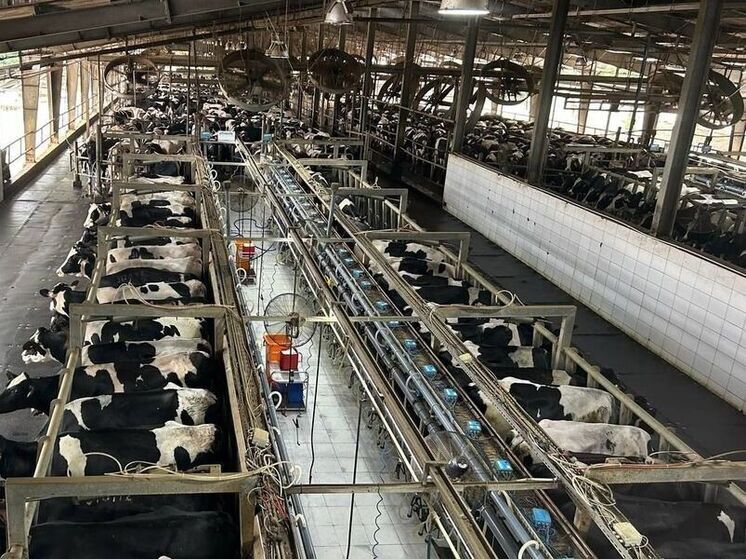 В Калужской области прорабатываются проекты по селекции