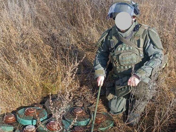 За неделю в курском приграничье обезвредили 244 опасных предмета