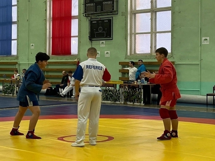 В Мурманске наградили победителей соревнований по самбо