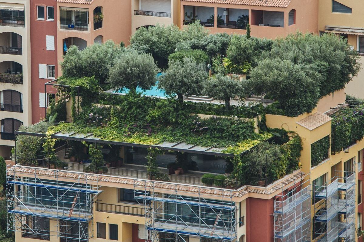 Исследование: горожанам нравятся «зеленые» крыши и террасы