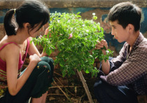 46-й Каирский кинофестиваль — единственный категории А на Ближнем Востоке и в Африке — завершился победой нескольких палестинских картин