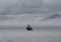 Как у природной оттепели, так и у периодически случающегося оттаивания льдов «холодной войны» есть свои приметы, свои характерные внешние проявления. Что касается природы, то на деревьях, к примеру, в эту обманчивую пору нередко начинают набухать почки. Ну а потепление российско-американских отношений знаменуется обычно возобновлением разговоров о соединении берегов Берингова пролива — мостом либо туннелем. «Закон оттепели» сработал и на этот раз.