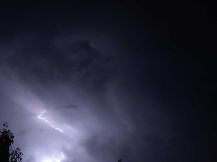 Сильный ветер, снег и ледяной дождь ожидаются в Рязанской области 24 ноября