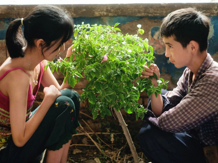 46-й Каирский кинофестиваль — единственный категории А на Ближнем Востоке и в Африке — завершился победой нескольких палестинских картин