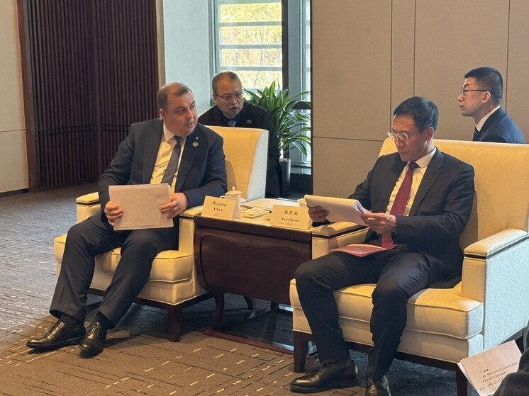 Вице-губернатор Пензенской области обсудил с китайскими коллегами расширение сотрудничества