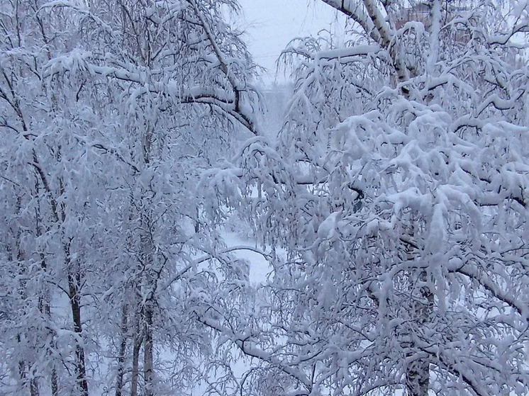 Новгородцев предупредили о сильном снегопаде и налипании снега