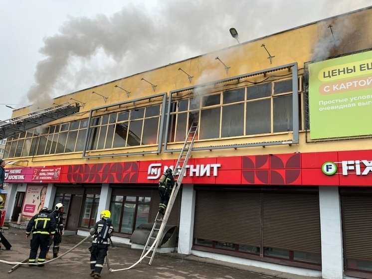 Названа предварительная причина пожара в торговом центре Нововоронежа