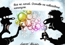 Далеко не все наши сограждане планируют наслаждаться самыми длинными за долгие годы новогодними праздниками