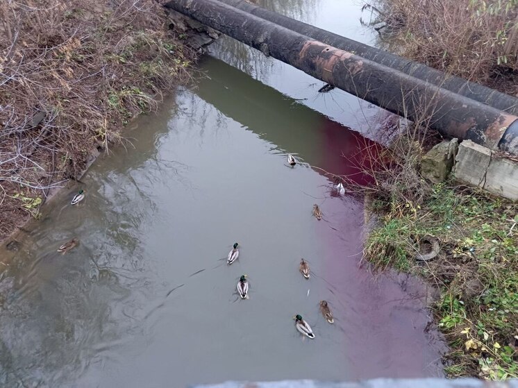 В Туле на Красноармейском проспекте заметили воду необычного цвета
