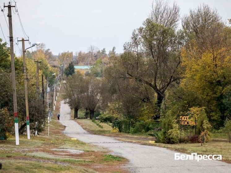 Население поселка Новый Волоконовского округа Белгородской области насчитывает 98 человек