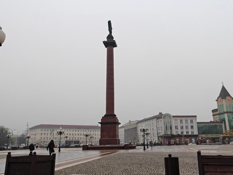 День самбо собрал в Калининграде более ста борцов