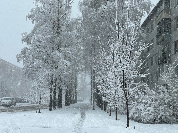 Вологжан информируют о надвигающейся непогоде