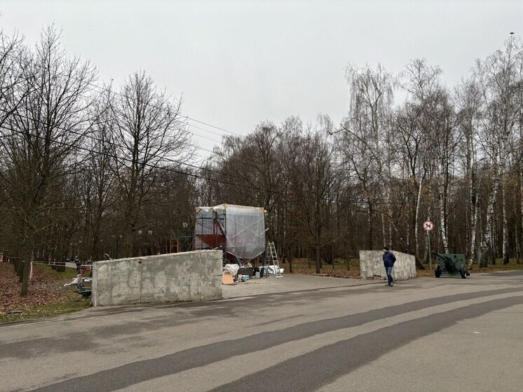 В реконструкцию Аллеи Победителей в Центральном парке Тулы вложат 5 млн рублей