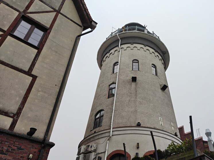 Калининградские морозы начались с чемпионата моржей