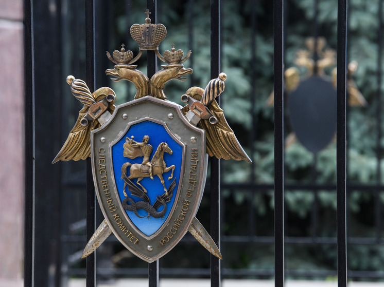 СК отказался прекратить уголовное преследование иноагента Бориса Кузнецова*