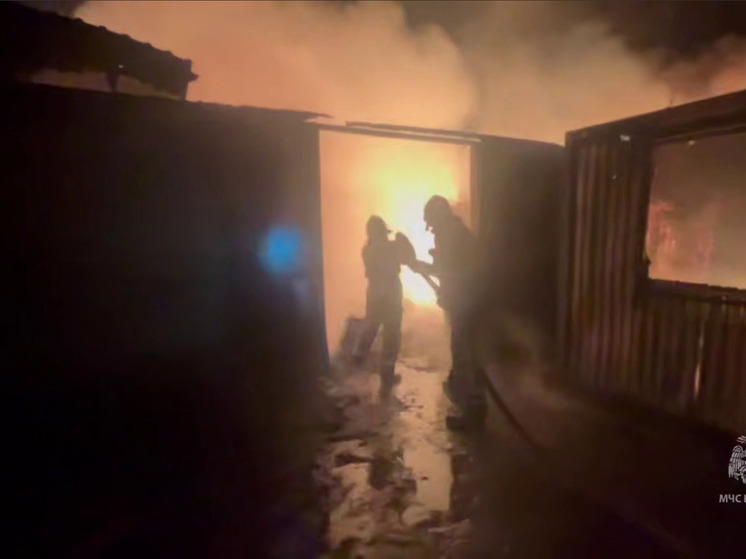 Крупный пожар в Пушкино: огонь уничтожил склад с бумагой и пластиком