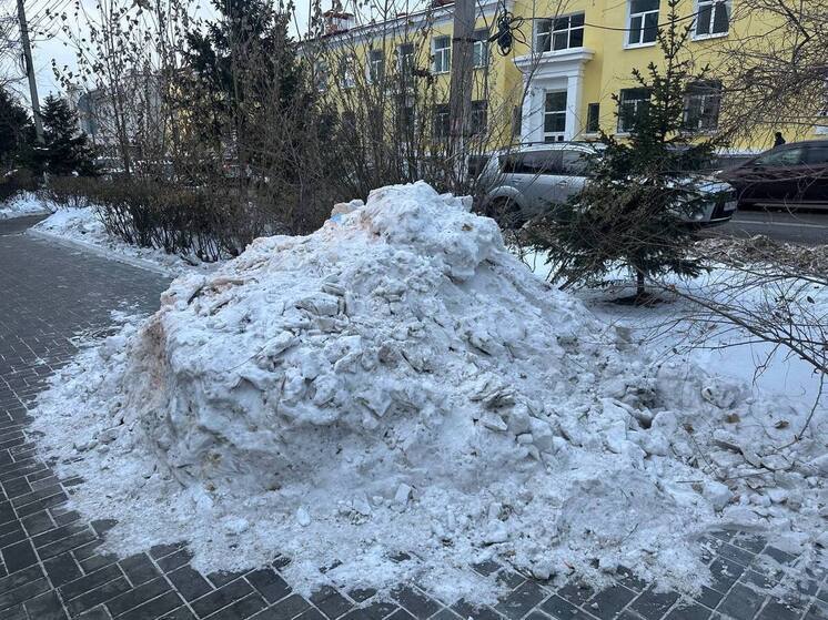 Щеглова: Тротуары и остановки от снега должны были убрать две недели назад