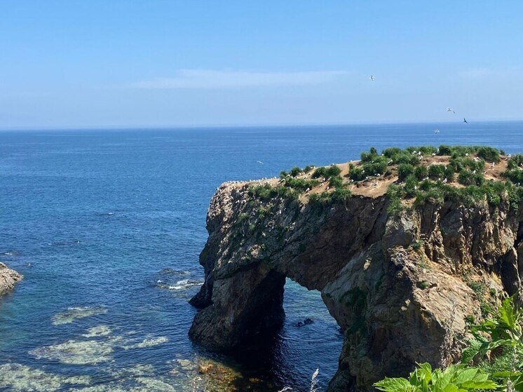 Синоптики уточнили прогноз погоды на Сахалине на 24 ноября