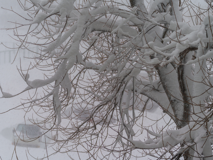 Готовность к зимней непогоде обсудили в Сахалинской области