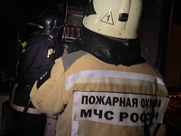 За сутки на Сахалине потушили горящую траву и мусор в расселенном доме