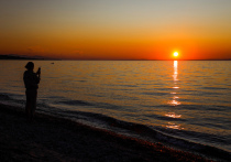 В Госдуме РФ провели круглый стол, посвященный законопроекту о сплошных рубках на Байкале