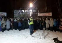 В последнее время в СМИ и по соцсетям активно разгоняются протестные настроения против вырубки части рощи в Академгородке – той части, которая примыкает к Институту солнечно-земной физики